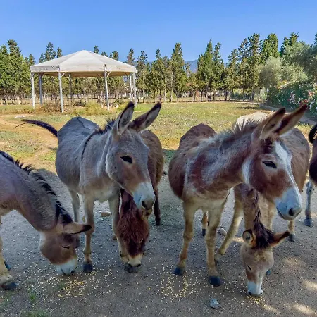 Rurale Orti Di Nora & סנטה מרגריטה די פולה