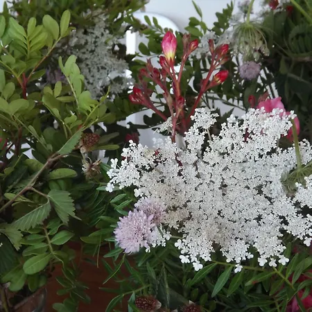 Rurale Orti Di Nora&spa Hotel 3*