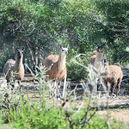 Rurale Orti Di Nora&spa 3* Santa Margherita di Pula