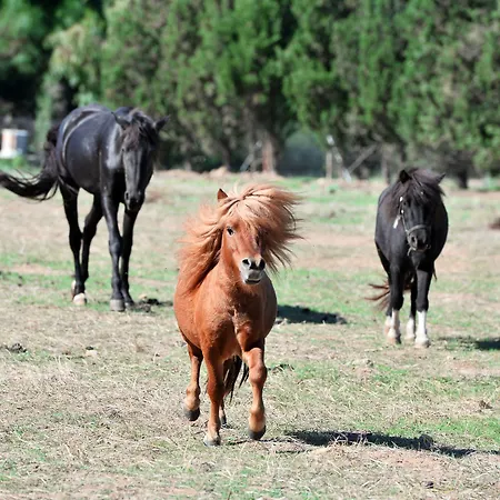 Hotel Rurale Orti Di Nora&spa