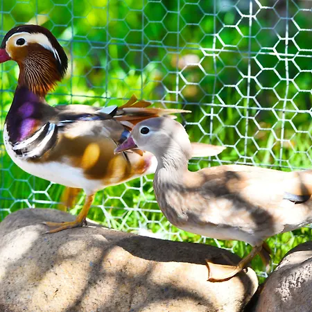 Hotel Rurale Orti Di Nora&spa