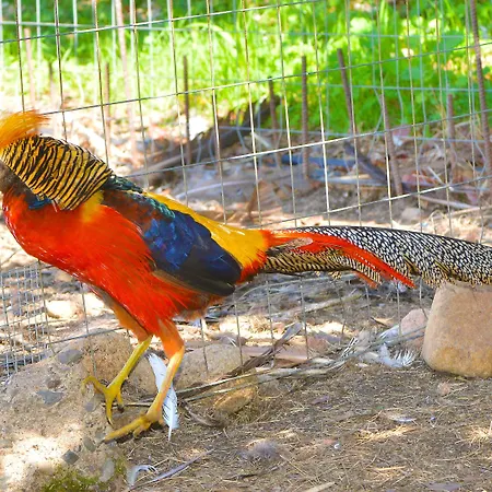 Rurale Orti Di Nora&spa