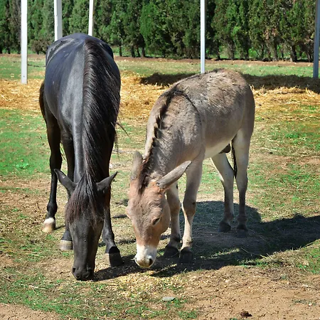 Hotel Rurale Orti Di Nora&spa