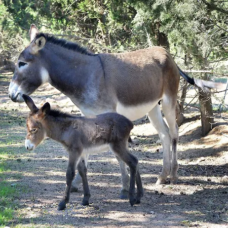 Rurale Orti Di Nora&spa Hotel