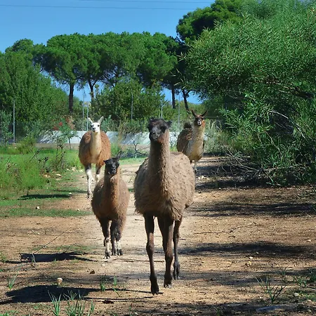 Hotel Rurale Orti Di Nora&spa 3*