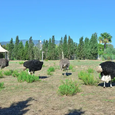 Hotel Rurale Orti Di Nora&spa