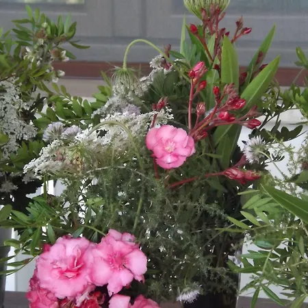 Rurale Orti Di Nora&spa 3* Santa Margherita di Pula